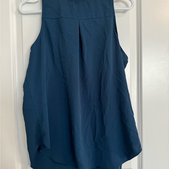 Ricki’s tank - Picture 2 of 2